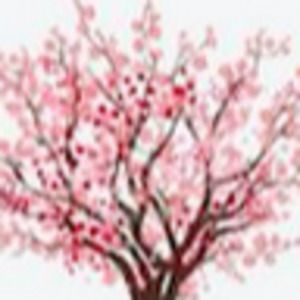 Meet your Posher, Sheena